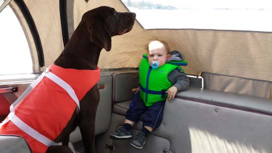 A Fogelhund GSP and a little boy aboard a boat.