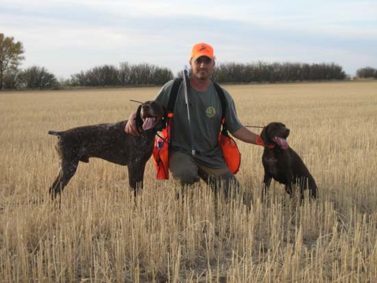 Two Fogelhund German Shorthaired Pointers with their owner in a field.